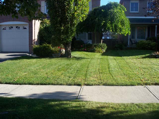 Freshly mowed striped lawn in front of a Brampton home