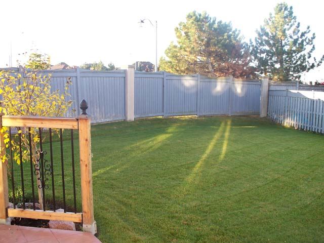 Manicured striped backyard lawn