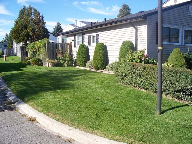 Trimmed hedges and tidy lawn beside a home